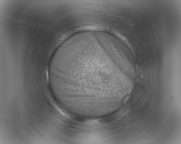 X0000054360061200508262326