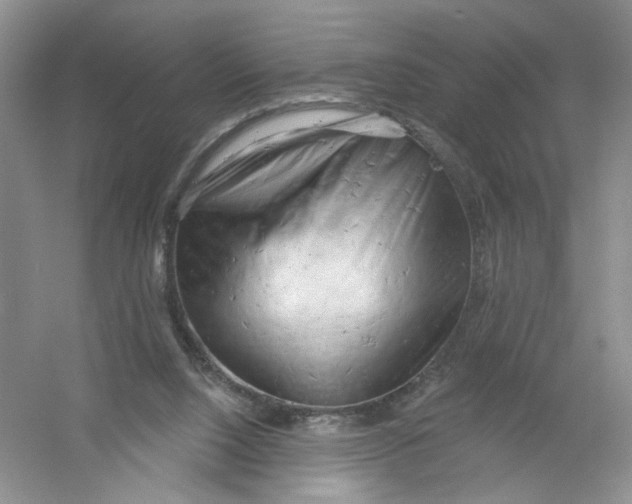X0000054360064200508262326