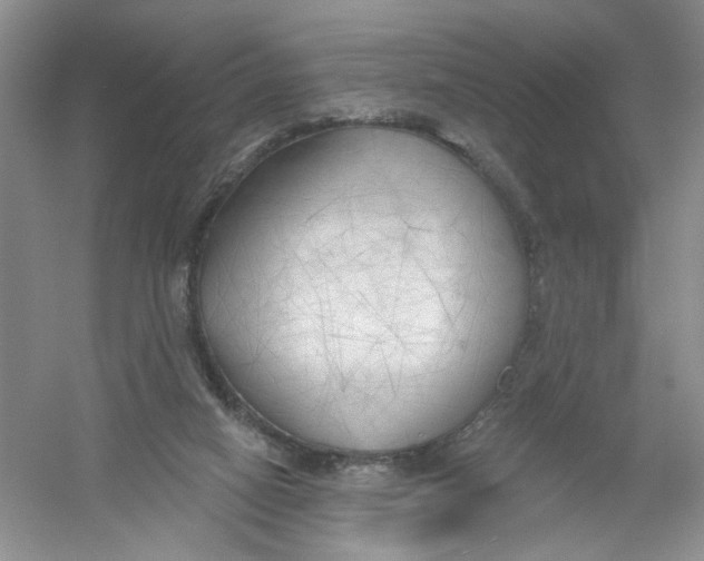 X0000054360066200508262326