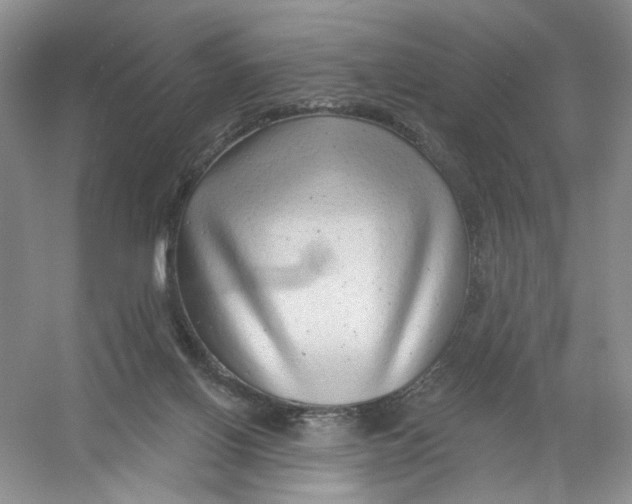 X0000054360070200508262326