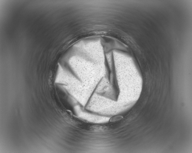 X0000054360073200508262326