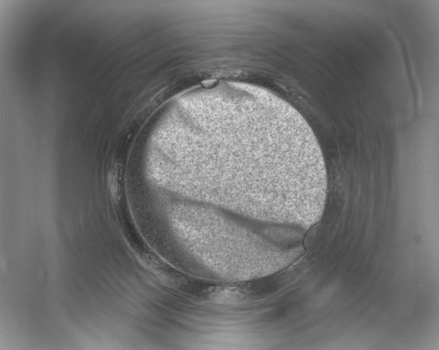 X0000054360074200508262326