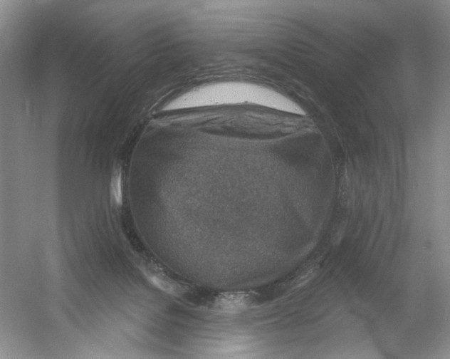 X0000054360076200508262326