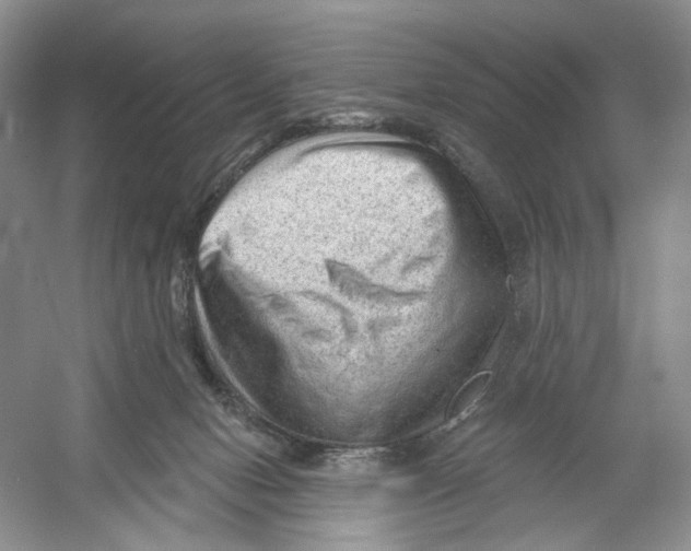 X0000054360078200508262326