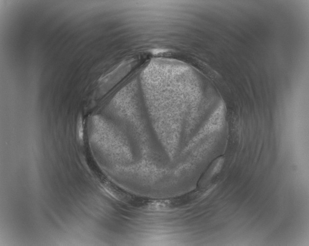 X0000054360080200508262326