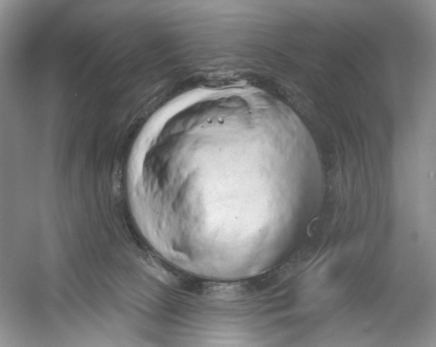 X0000054360081200508262326