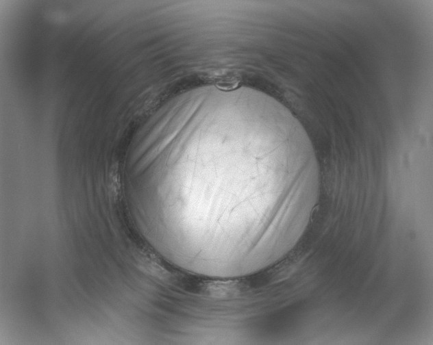 X0000054360085200508262326