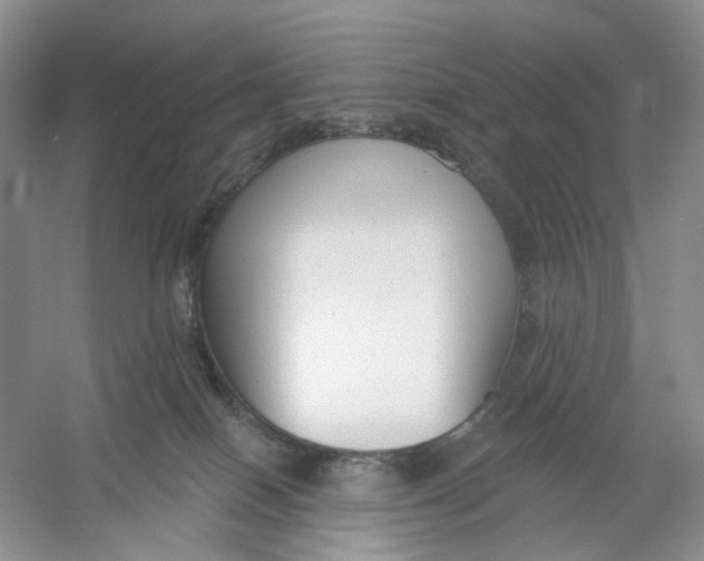X0000054360086200508262326
