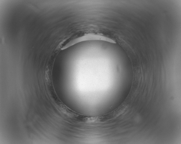 X0000054360088200508262326