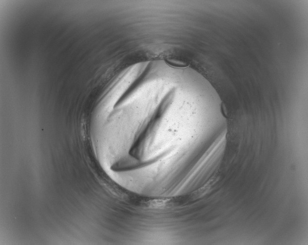 X0000054360090200508262326