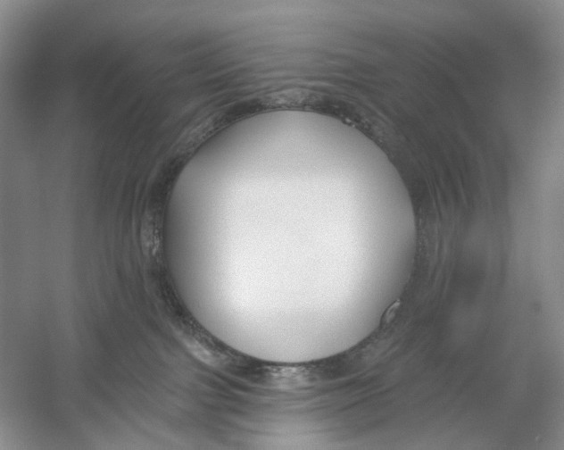 X0000054360091200508262326