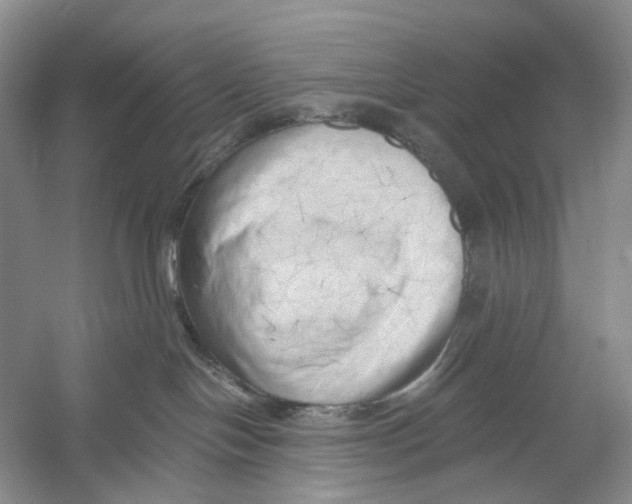 X0000054360094200508262326