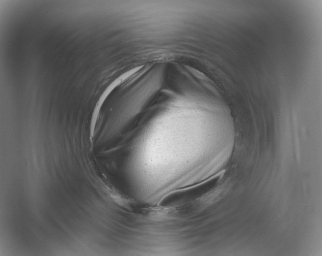 X0000054360096200508262326