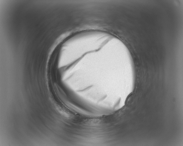 X0000054360104200508262325