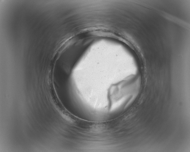 X0000054360105200508262325