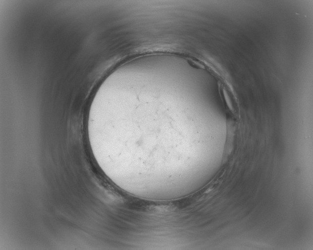 X0000054360107200508262325