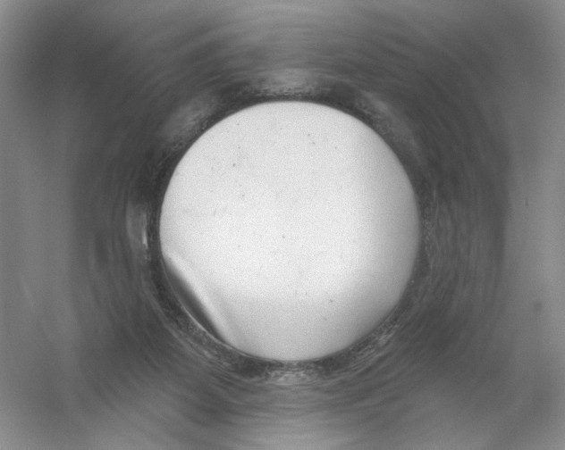 X0000054360115200508262325