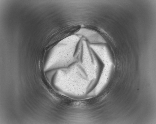 X0000054360117200508262325