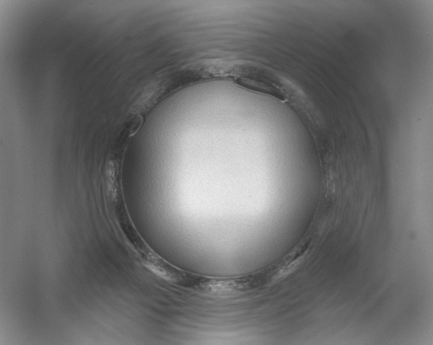 X0000054360121200508262325