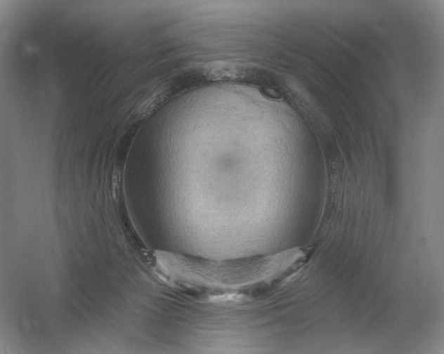 X0000054360125200508262325
