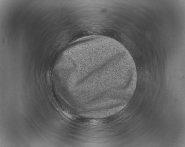 X0000054360130200508262325