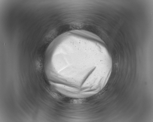 X0000054360134200508262325