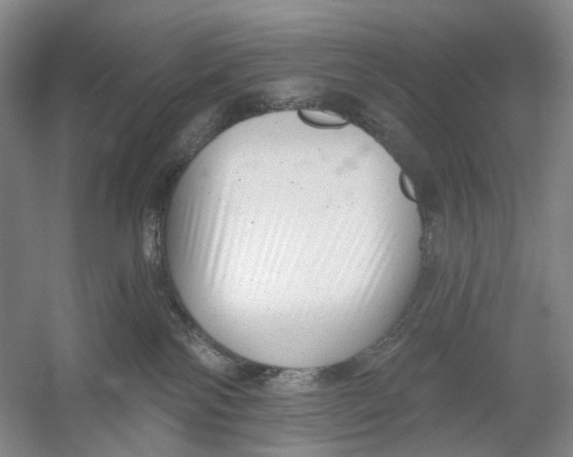 X0000054360138200508262325