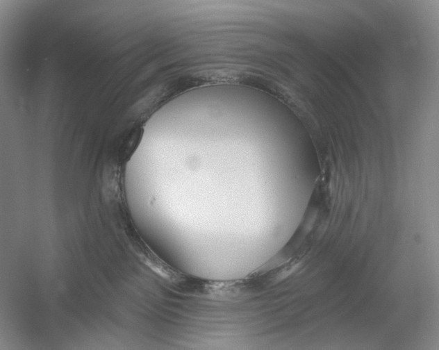 X0000054360141200508262325