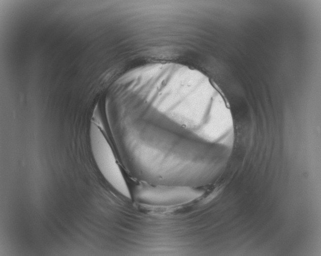 X0000054360143200508262325