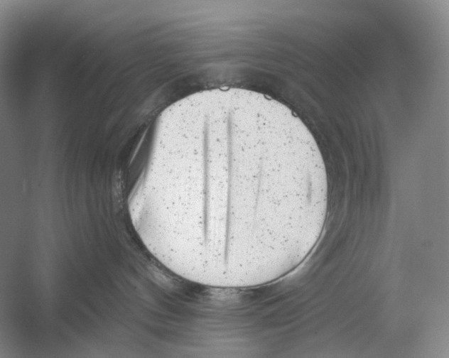 X0000054360144200508262325