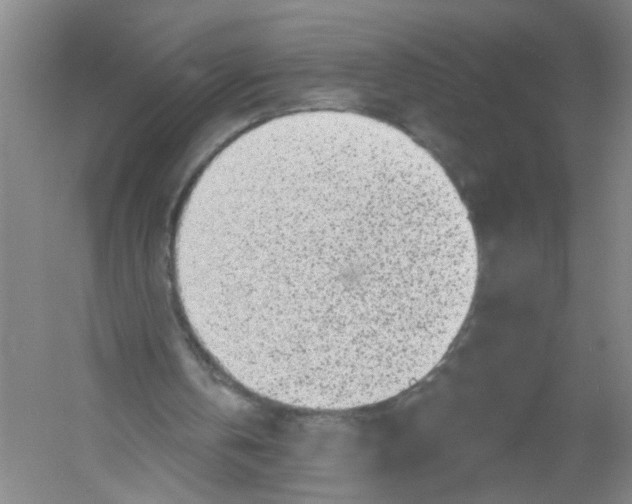 X0000054360146200508262324
