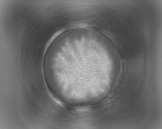 X0000054360147200508262324