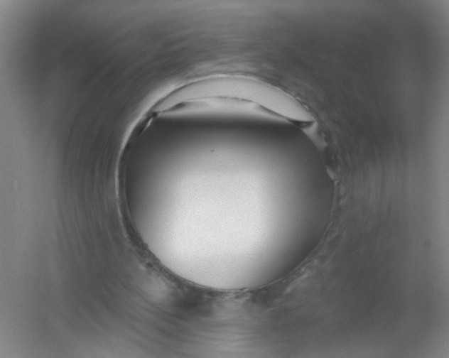 X0000054360148200508262324