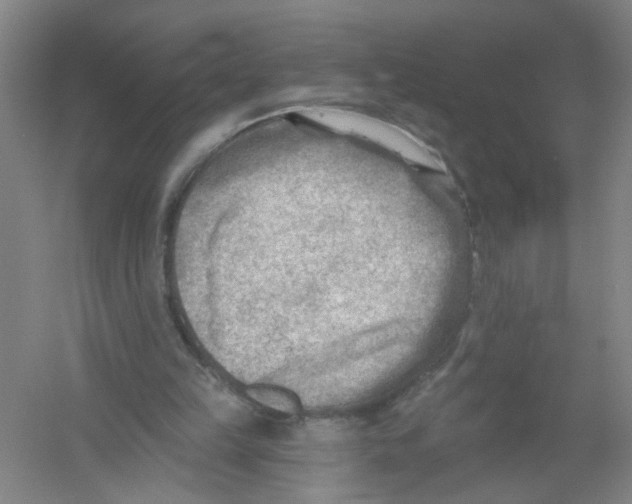 X0000054360149200508262324
