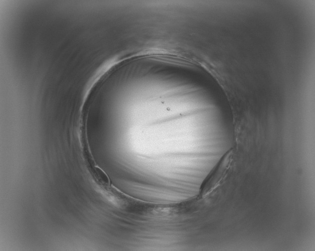 X0000054360152200508262324