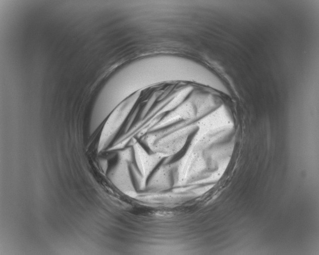 X0000054360154200508262324