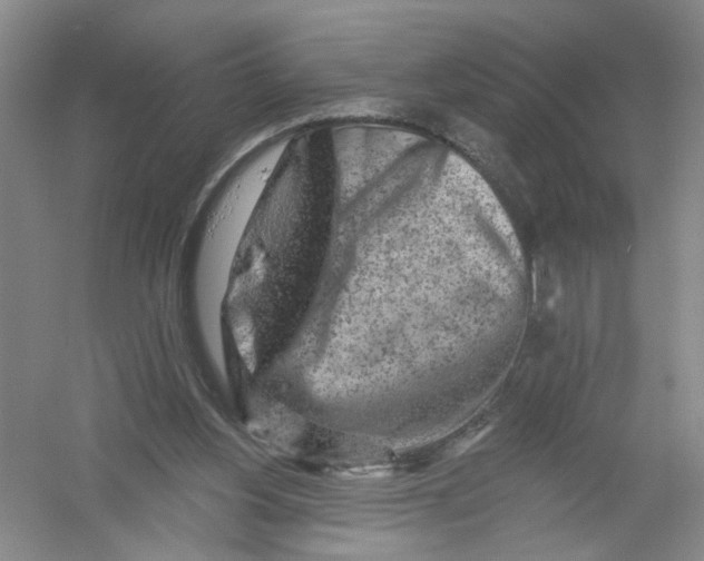 X0000054360156200508262324