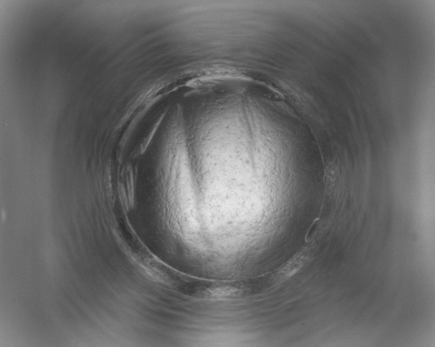 X0000054360158200508262324
