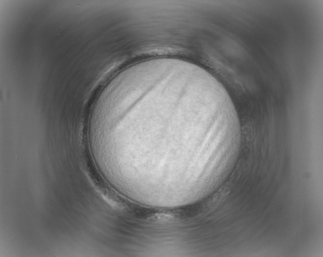 X0000054360159200508262324