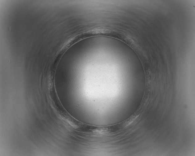 X0000054360164200508262324