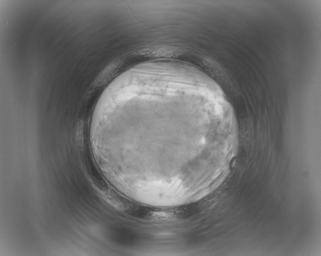X0000054360167200508262324