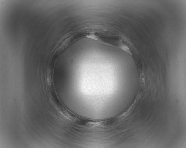 X0000054360170200508262324