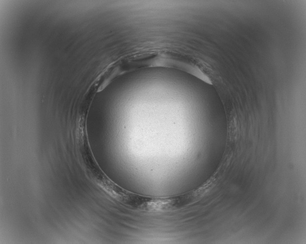 X0000054360172200508262324