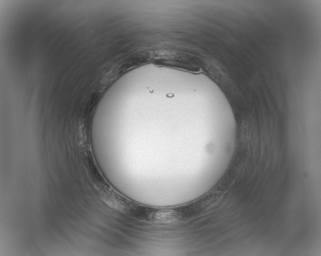 X0000054360173200508262324
