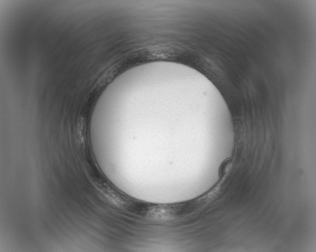 X0000054360174200508262324