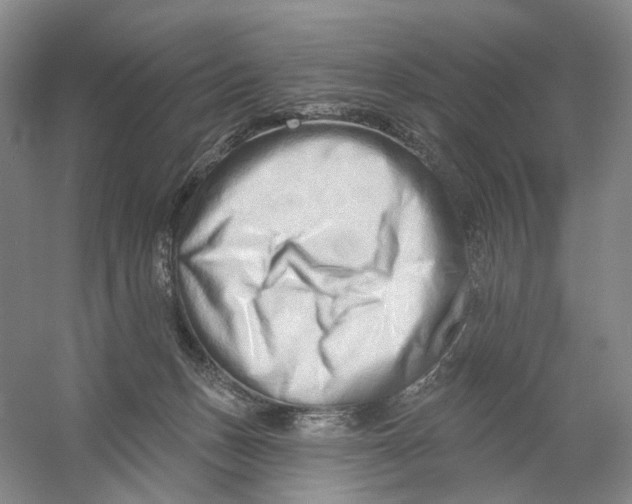 X0000054360175200508262324
