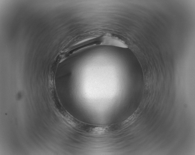 X0000054360176200508262324