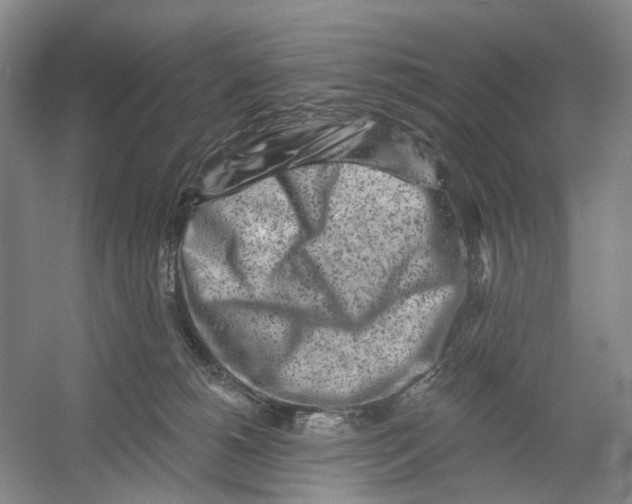 X0000054360180200508262324