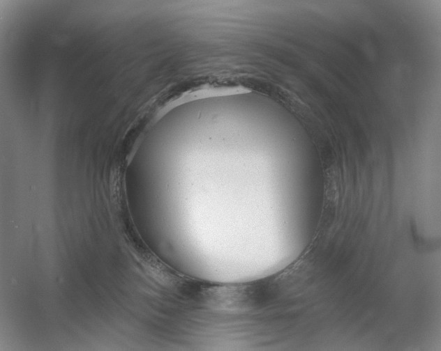 X0000054360184200508262324