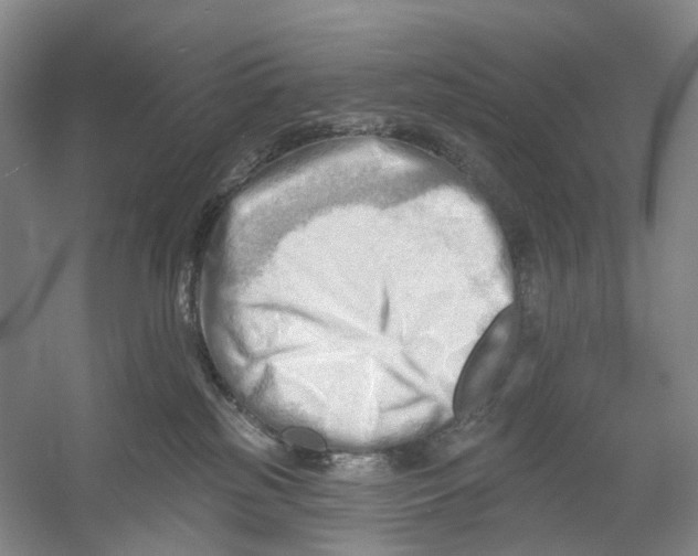 X0000054360185200508262324